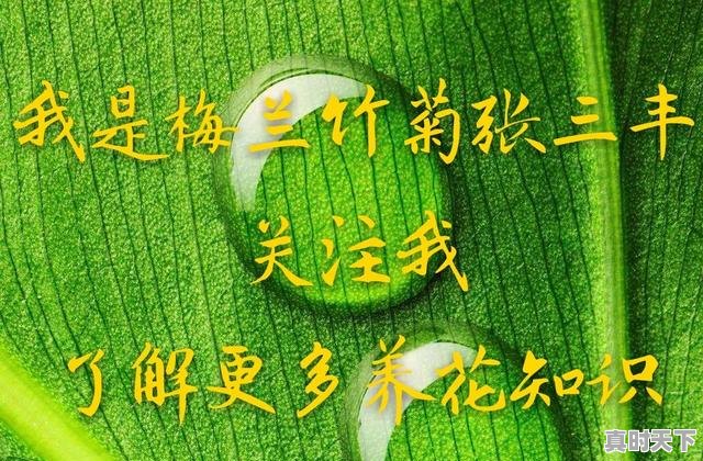 6、有关湖北京山的诗词歌赋！急，京山县天气 - 真时天下