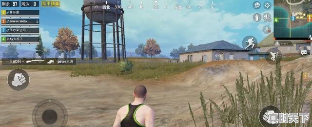 2、苹果12能玩战区手游吗,打开热门游戏会怎么样吗苹果 - 真时天下