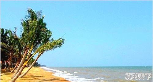 2、怎么把天气预报显示在屏幕上,天气怎么样 - 真时天下