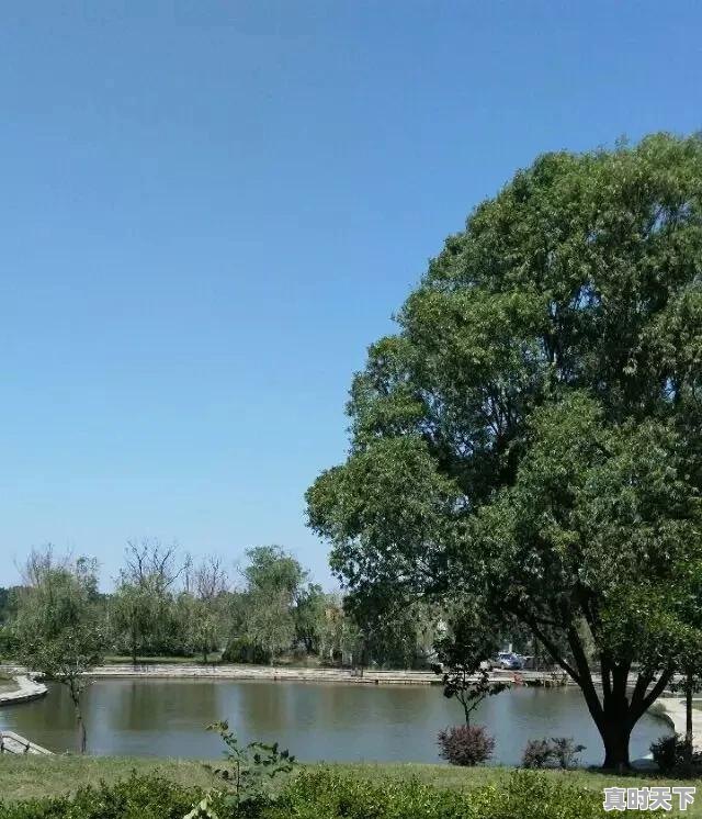 4、四年级小学生适合看什么动漫,适合女生看的成长动漫推荐一下 - 真时天下