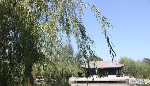 5、四年级小学生适合看什么动漫,适合女生看的成长动漫推荐一下 - 真时天下