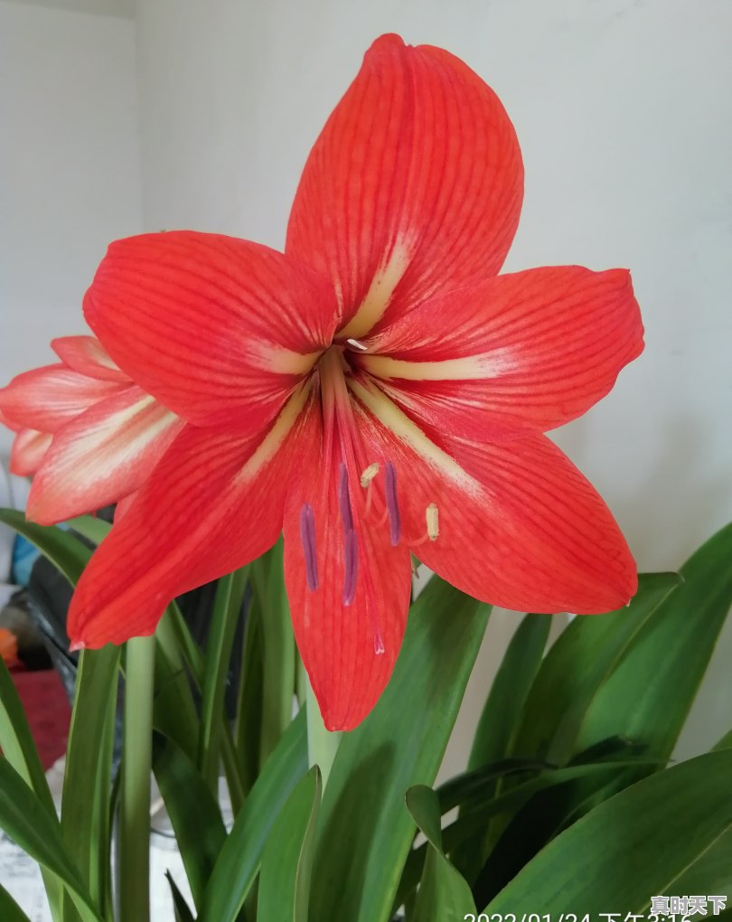 1、一股和一手是什么意思,股票多少钱一股用什么表示 - 真时天下