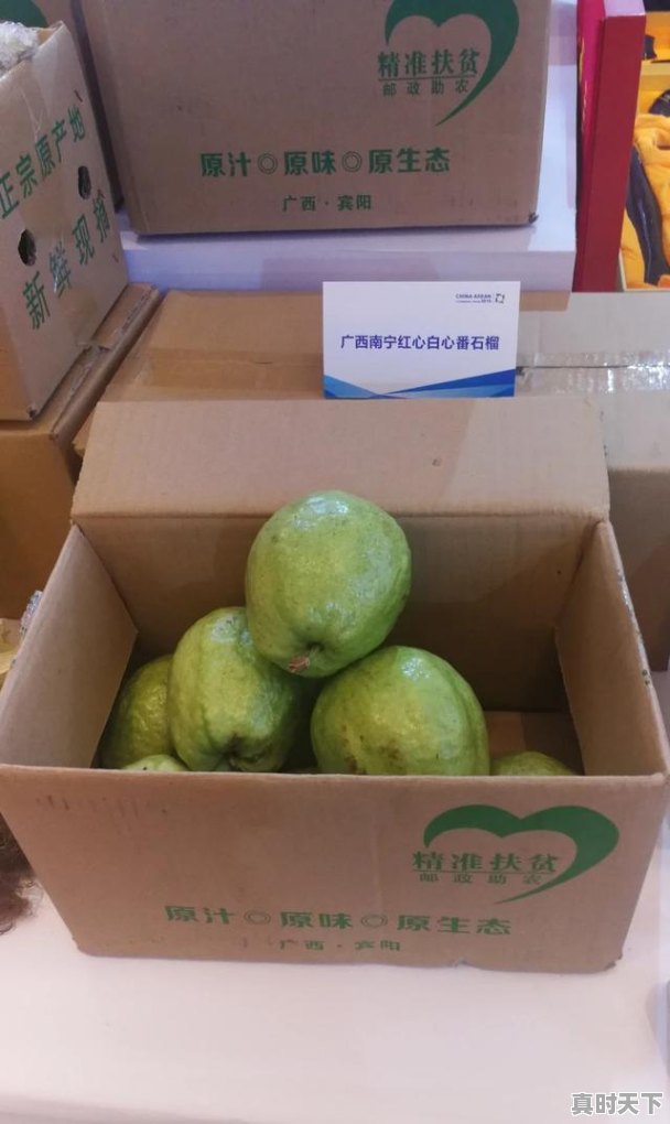 6、什么是我国科技创新与产业融合的新载体，以科技创新赋能现代农业 - 真时天下