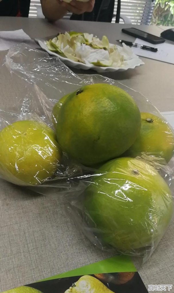 7、什么是我国科技创新与产业融合的新载体，以科技创新赋能现代农业 - 真时天下