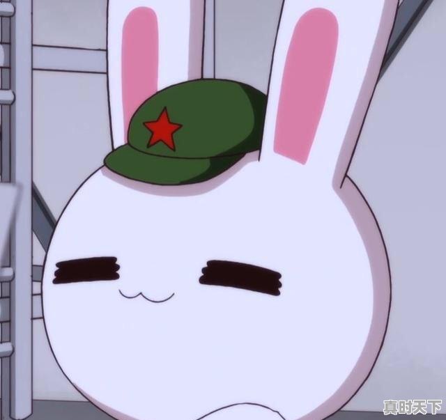 1、11岁女生适合的动漫，适合11岁女孩子看的动漫推荐一下 - 真时天下