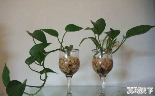 2、2021年广西天气怎么那么热，天气热吗 - 真时天下