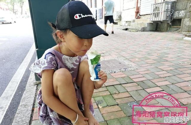 1、海阳谁家饭馆的饺子好吃，今日海阳生猪价格 - 真时天下