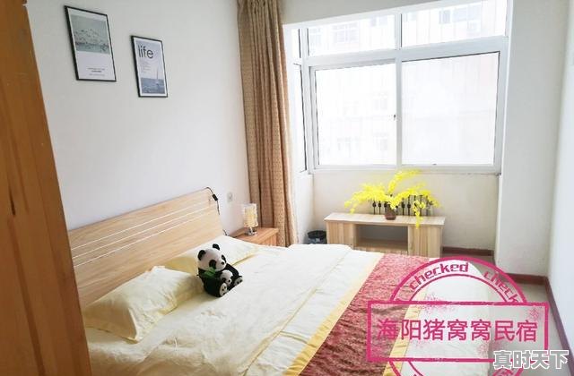 2、海阳谁家饭馆的饺子好吃，今日海阳生猪价格 - 真时天下