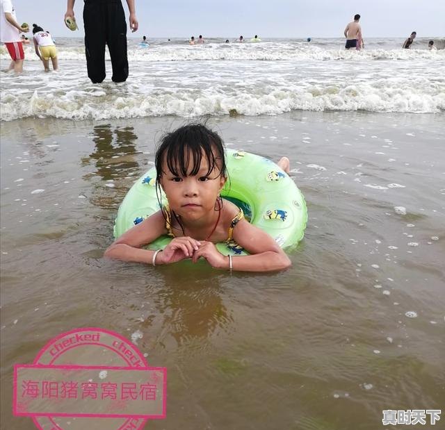 3、海阳谁家饭馆的饺子好吃，今日海阳生猪价格 - 真时天下