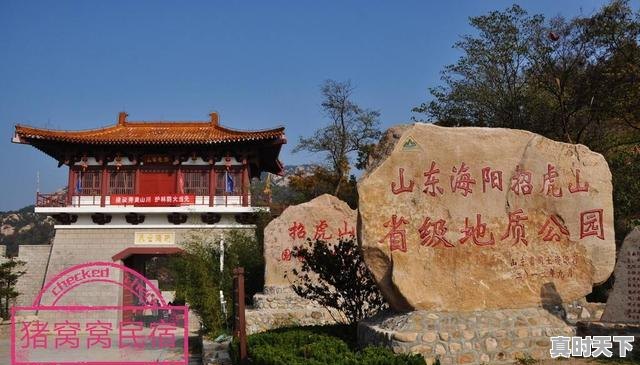 5、海阳谁家饭馆的饺子好吃，今日海阳生猪价格 - 真时天下