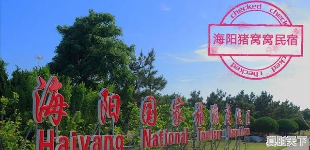 4、海阳谁家饭馆的饺子好吃，今日海阳生猪价格 - 真时天下