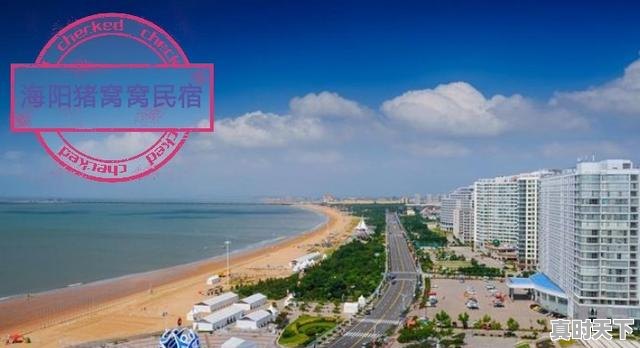 8、海阳谁家饭馆的饺子好吃，今日海阳生猪价格 - 真时天下