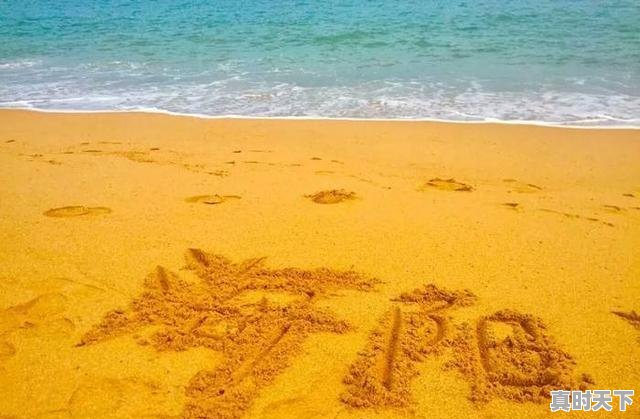 7、海阳谁家饭馆的饺子好吃，今日海阳生猪价格 - 真时天下