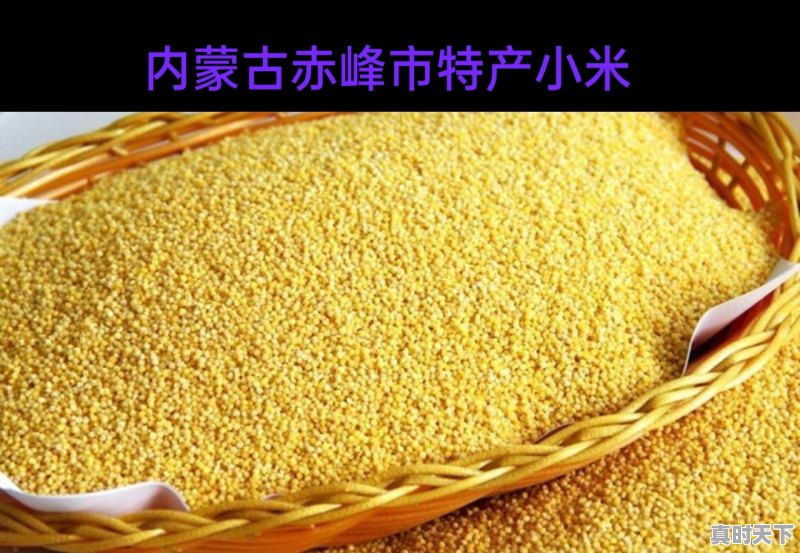 1、2016年内蒙赤峰的谷子和绿豆的价钱是多少,今日赤峰谷子价格 - 真时天下