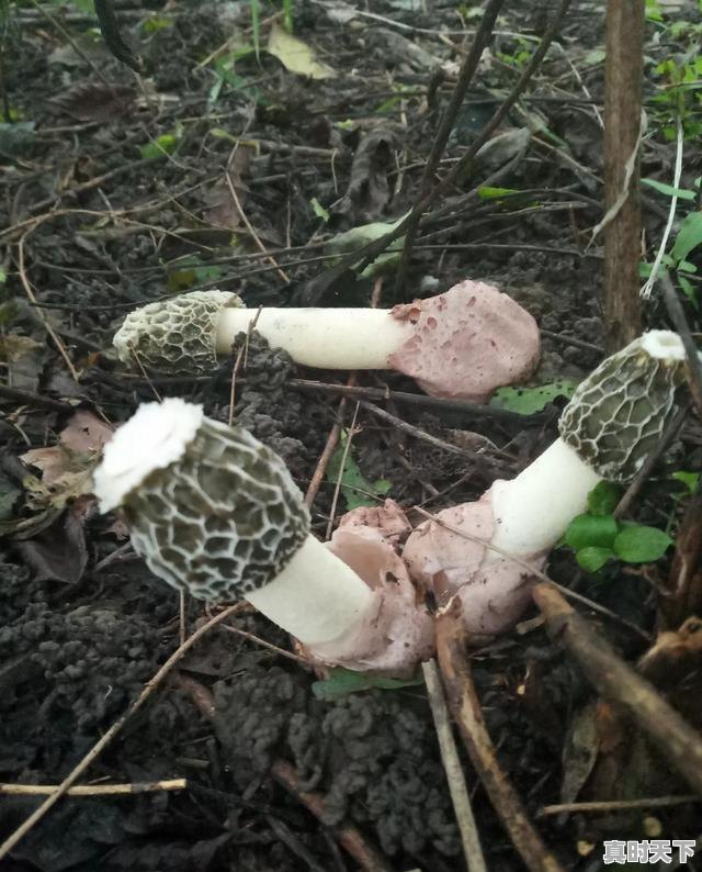 2、创新的重要性和意义，科技创新和什么同等重要 - 真时天下