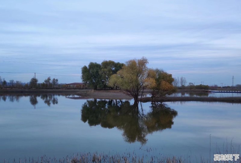 5、哈尔滨一年四季天气怎么样,哈尔滨 天气 - 真时天下