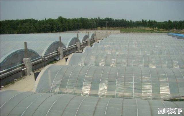 2、回乐,复方鳖甲软肝片0.5g*48片价格,鳖甲今日价格 - 真时天下