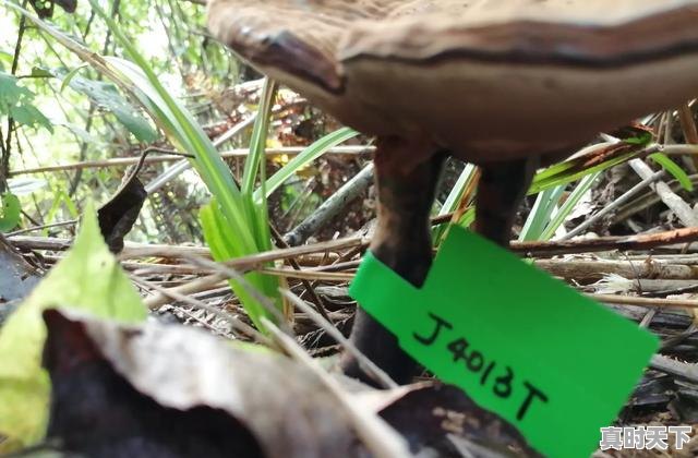 2、光谷创新天地的优缺点，科技创新工作取得优异成绩 - 真时天下