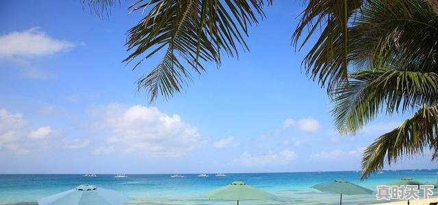 4、海口天气有40度的吗，海口 天气 - 真时天下