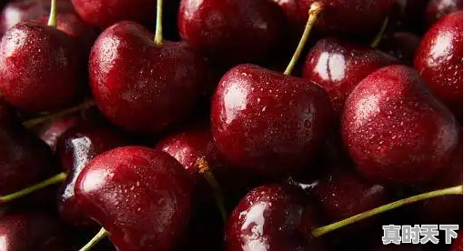 1、汕头市高温天气每年什么时候结束,天气汕头 - 真时天下