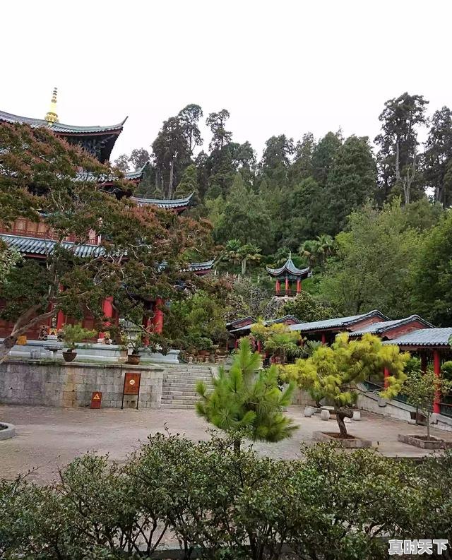 3、当你感到很寒冷的时候,有什么办法使身体温暖,天气冷怎么办 - 真时天下