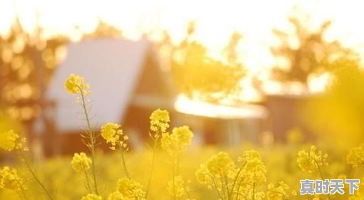 5、当你感到很寒冷的时候,有什么办法使身体温暖,天气冷怎么办 - 真时天下