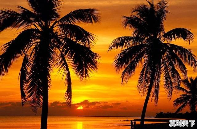 3、什么天气的日出会比较美0,天气日出 - 真时天下