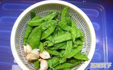 1、荷兰豆的做法，今日荷兰豆价格 - 真时天下