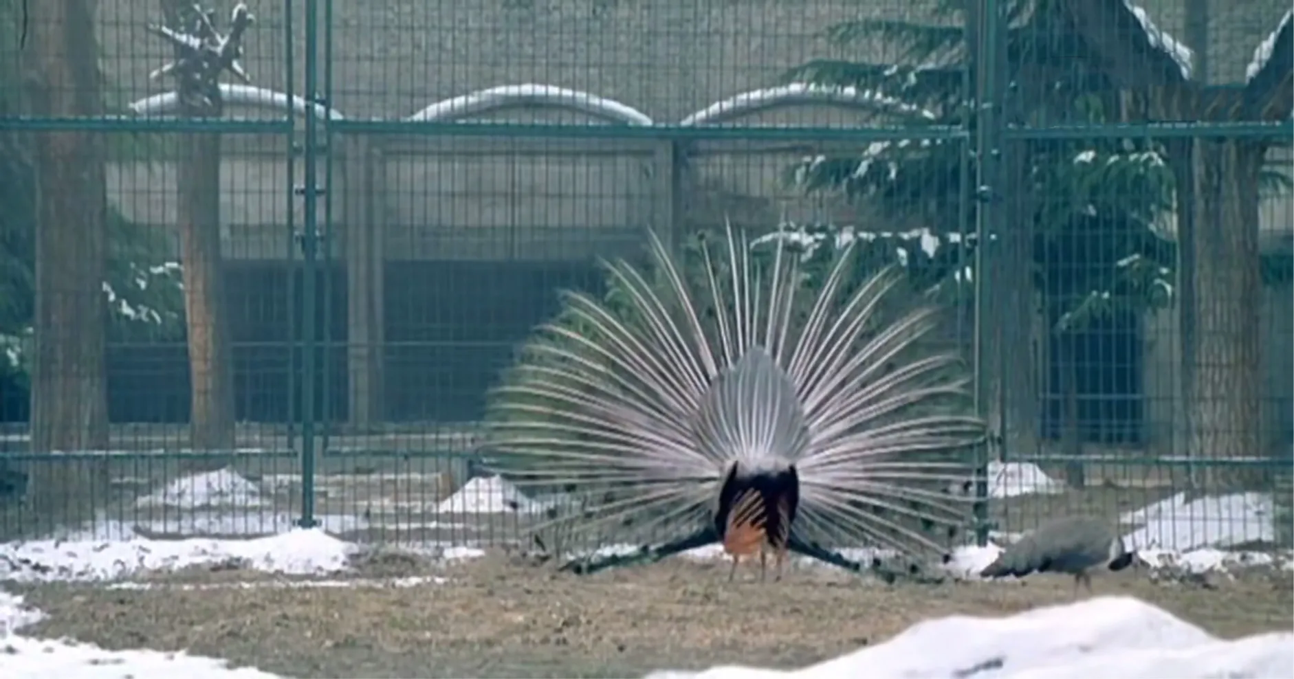 6、最喜欢的动画片推荐理由,超级经典且超好看的动漫推荐一下电影有哪些 - 真时天下