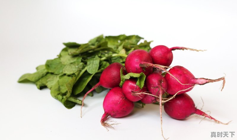 1、2021年12月蔬菜价格会降吗,今日蔬菜最新价格 - 真时天下