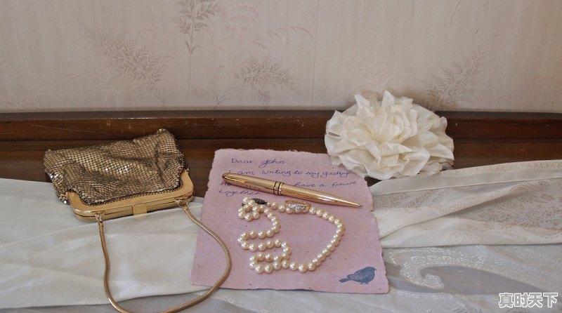 1、深圳科兴科技园是做什么的,聚焦科技创新环境 - 真时天下