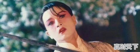 4、求问:李碧华的出生日期,戛纳电影节在哪看回放 - 真时天下