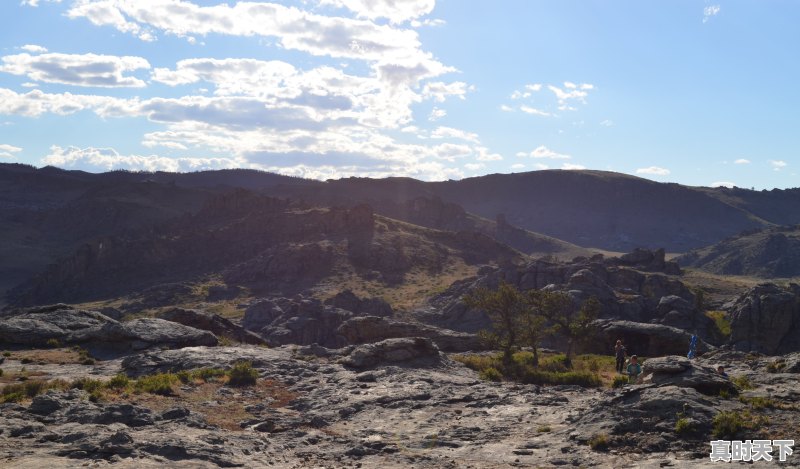 1、花生产地品质排行榜,天气彰武 - 真时天下