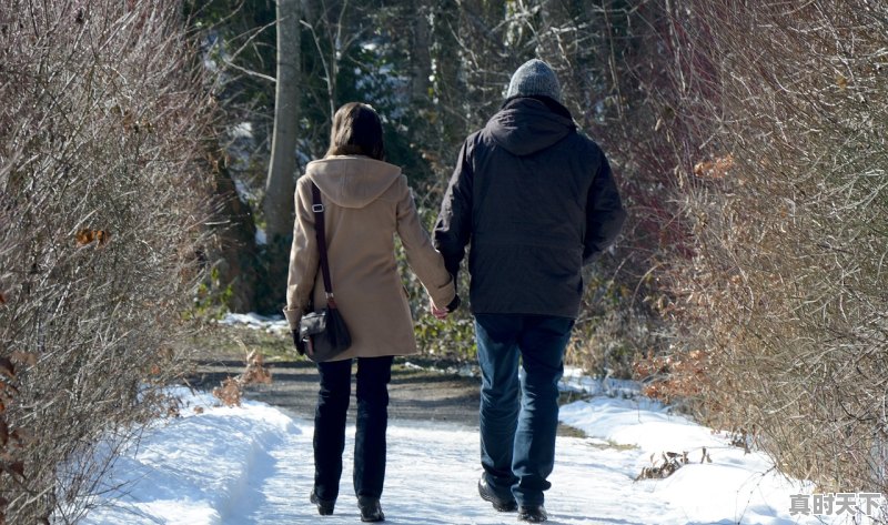 1、一人之下动态漫和动漫什么区别，好看动态动漫推荐 - 真时天下