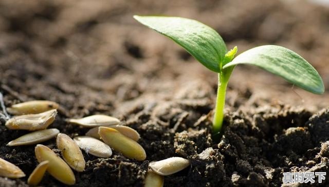 3、15℃钓螺蛳青怎么选位置，青天气 - 真时天下