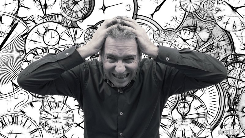 1、2022年甄子丹有什么电影开拍的，古天乐最新电影上映2022年8月12日 - 真时天下