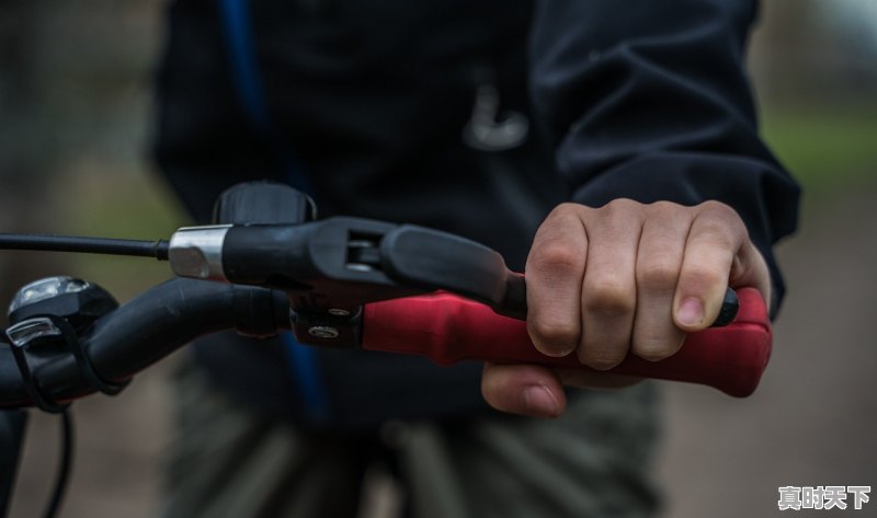 1、扫黑行动电影票房,张智霖最新电影上映2022 - 真时天下