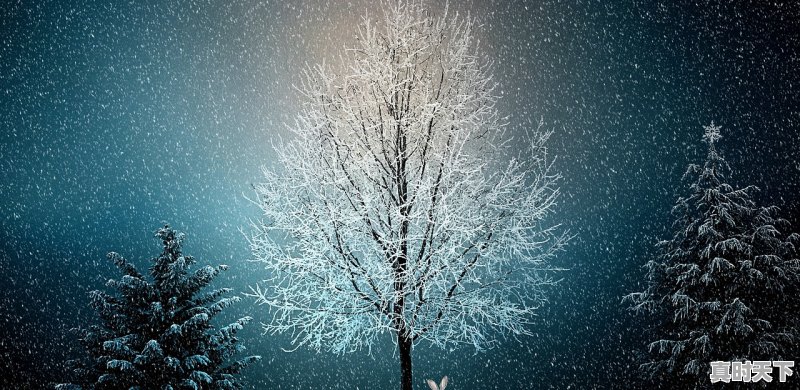 1、今年冬天会更冷吗,今年天气冷 - 真时天下