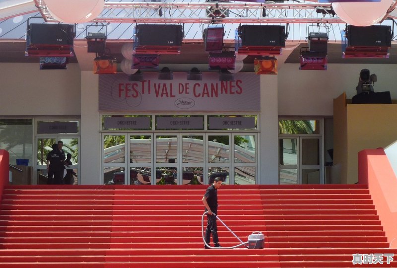 1、2023戛纳电影节获奖电影,戛纳电影节什么大奖啊 - 真时天下