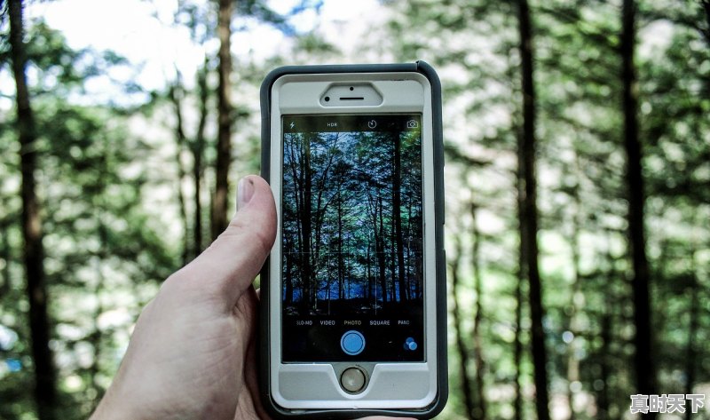 1、十大手游APP排行榜,2019最热门的手游软件推荐,一百款热门游戏推荐手游 - 真时天下