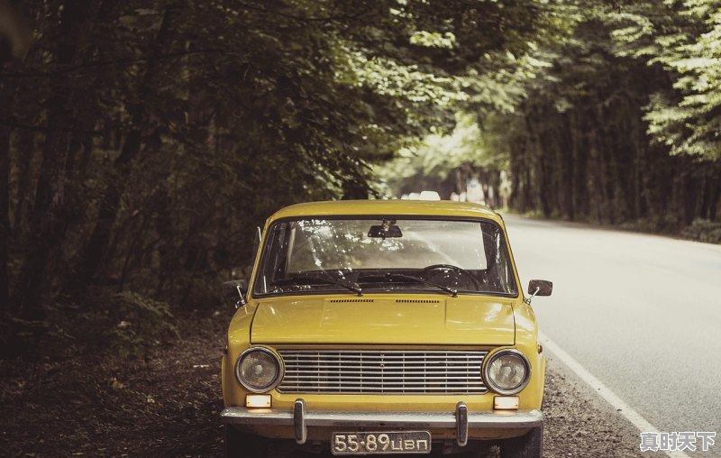 1、刘德华2024新电影计划,刘德华最新电影内容介绍大全 - 真时天下