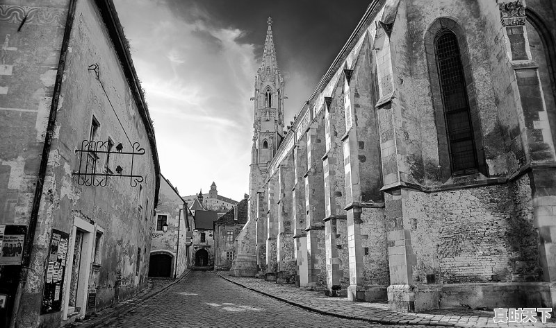 1、我和我的父辈之少年行啥时候上映,最新电影我和我的父辈火爆上映 - 真时天下