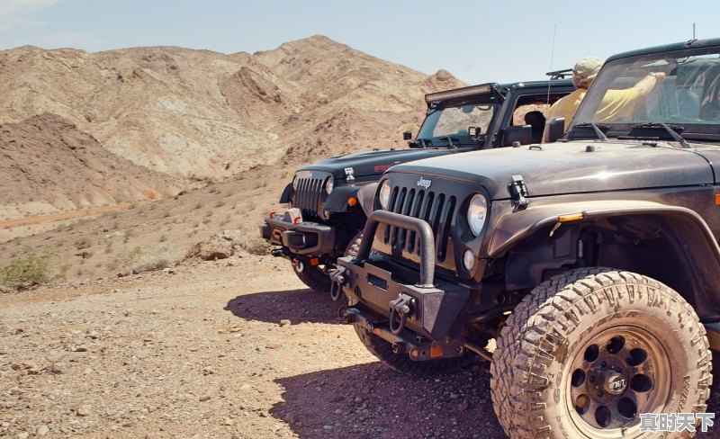 1、知识大v头条号排名榜，二手车孟先生 - 真时天下