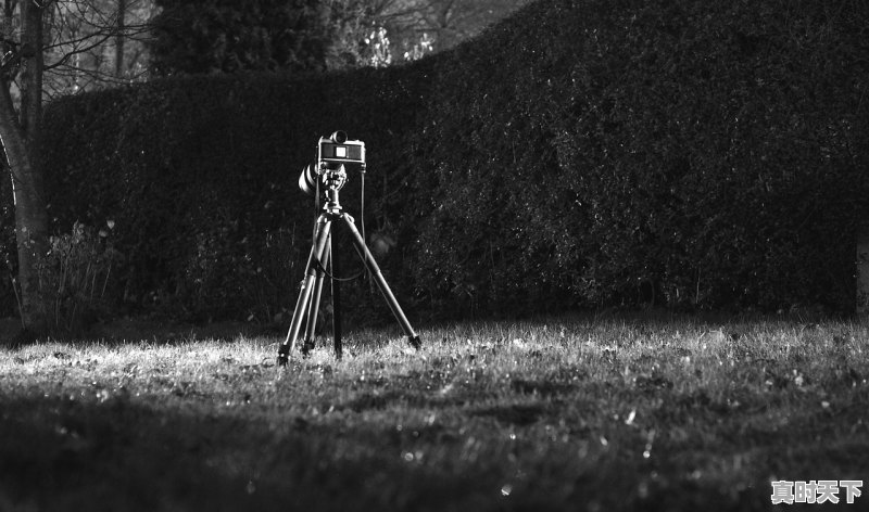 1、新海诚2006年的电影，新海诚最新电影到底叫什么 - 真时天下