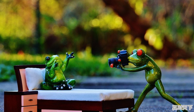 1、什么游戏名字好听，热门游戏类型有哪些游戏名字好听点 - 真时天下