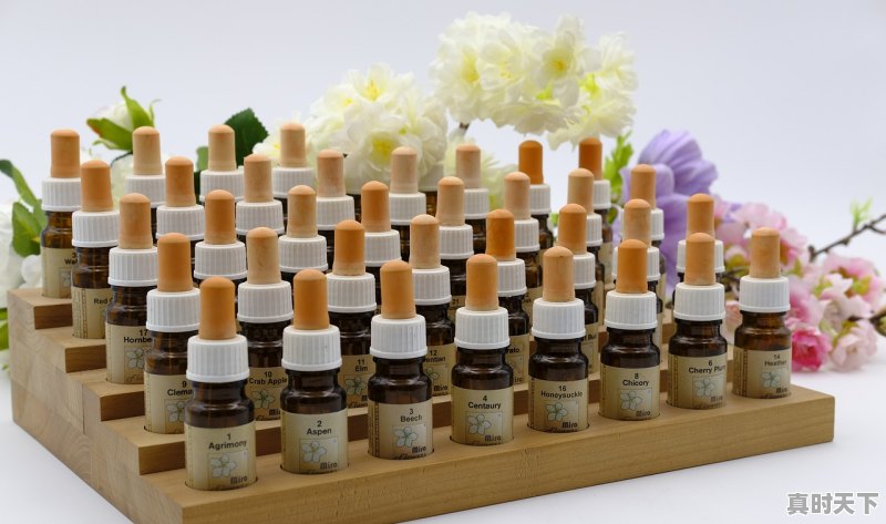 1、盼望丰收的句子，彩蝶股票 - 真时天下