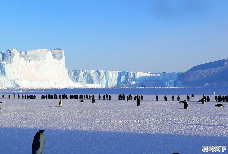 1、河北廊坊今天的气候如何，河北廊坊天气 - 真时天下