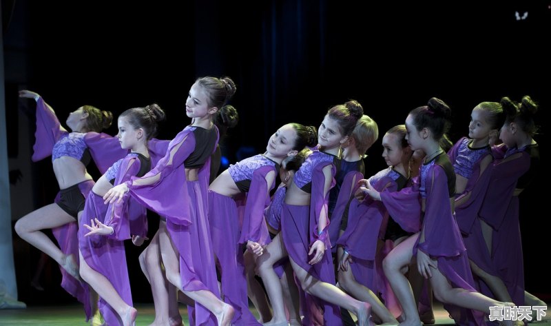 1、2021三大国际电影节获奖影片,电影节影响力排名榜前十名 - 真时天下