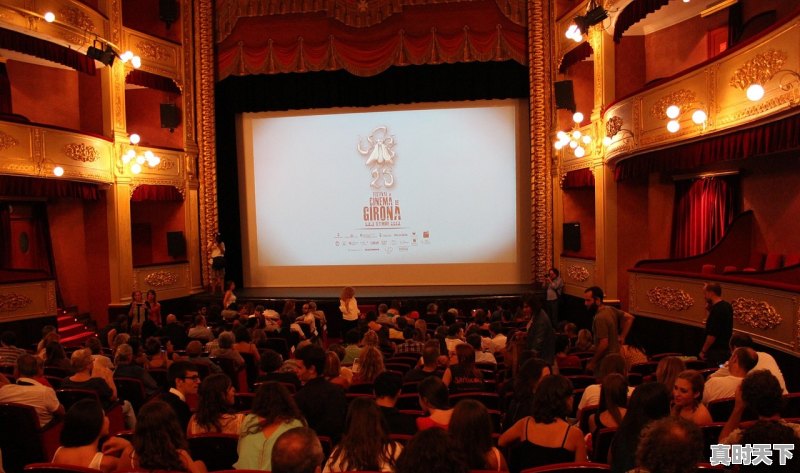 1、电影奖项含金量排名,科技电影节奖项有哪些 - 真时天下