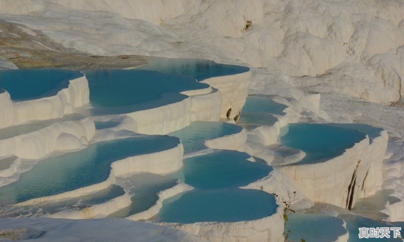 1、天津天气预报15天查询,今天天津天气 - 真时天下